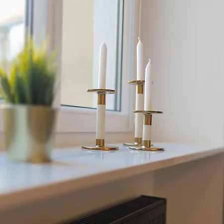 Panther Right In The Of Appartement