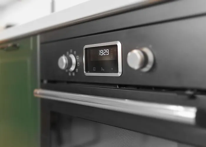 Panther Right In The Of Apartamento