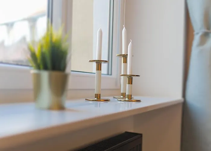 Panther Right In The Of Appartamento